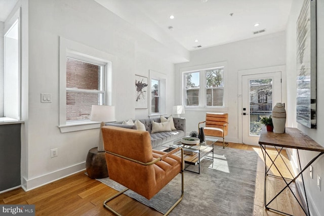 living room with wood-type flooring