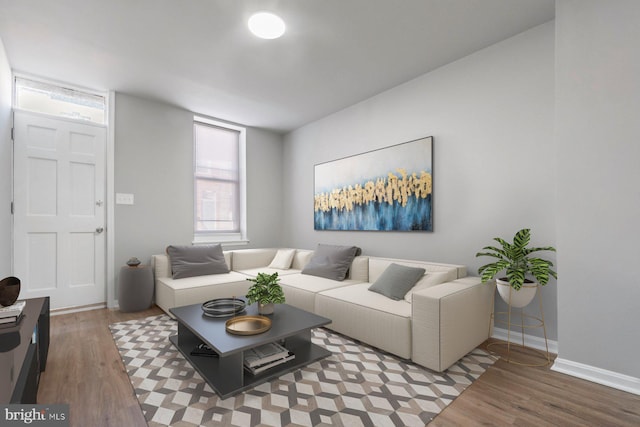 living room featuring hardwood / wood-style flooring