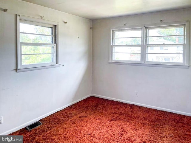 carpeted spare room with a wealth of natural light