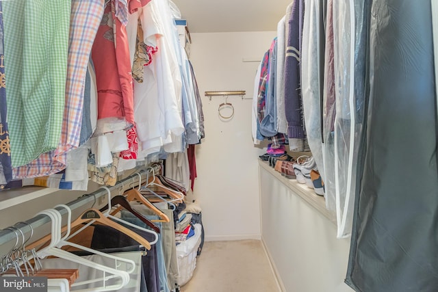 17 Kensington Sq, Mechanicsburg, PA 17050 - walk in closet with carpet flooring