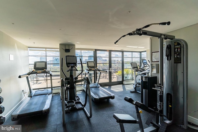 exercise room featuring a wall of windows