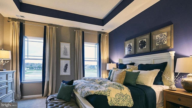 bedroom with a tray ceiling, carpet, and multiple windows