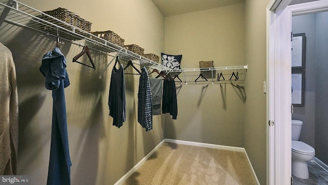 walk in closet featuring carpet floors