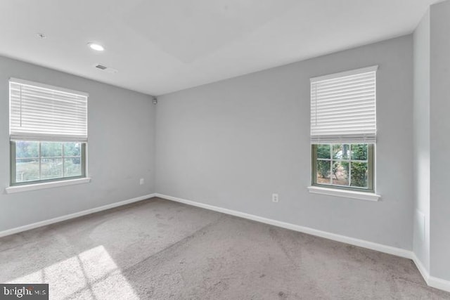 empty room with light carpet and plenty of natural light