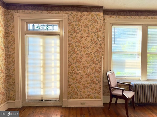 entryway featuring a healthy amount of sunlight, hardwood / wood-style flooring, and radiator heating unit