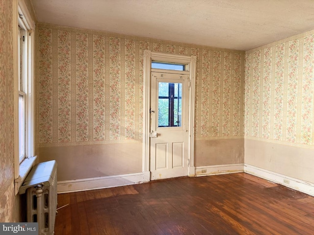 doorway to outside featuring radiator and wood-type flooring