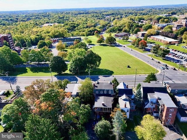 aerial view