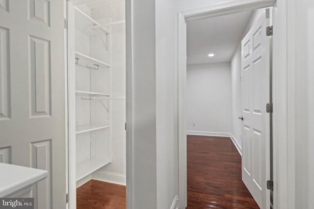 interior space featuring dark hardwood / wood-style floors