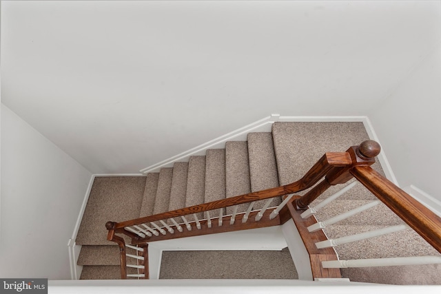 staircase with carpet flooring