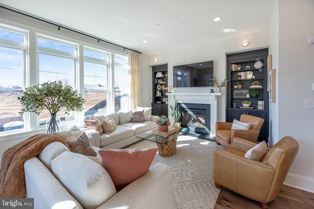 living room featuring hardwood / wood-style floors and a wealth of natural light