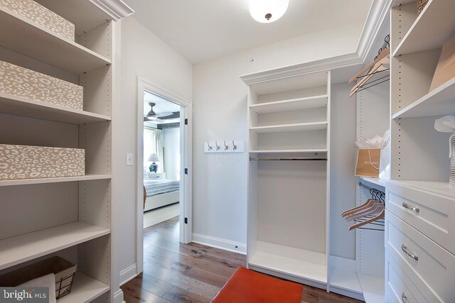 walk in closet featuring hardwood / wood-style floors and ceiling fan