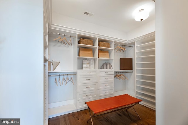 walk in closet featuring dark wood-type flooring