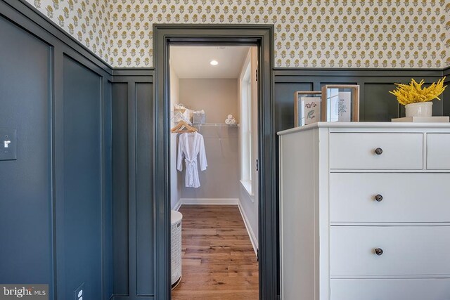 walk in closet with wood-type flooring