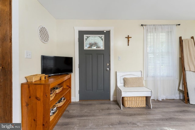 foyer with wood-type flooring