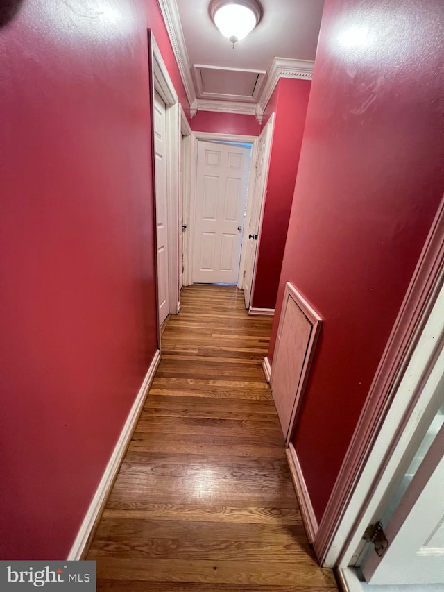 corridor with crown molding and dark hardwood / wood-style flooring