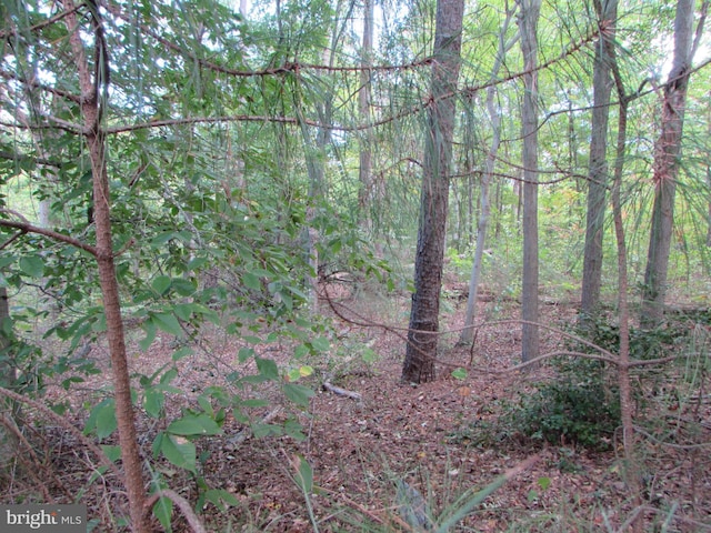 145 Stafford Rd, Prince Frederick, MD 20678