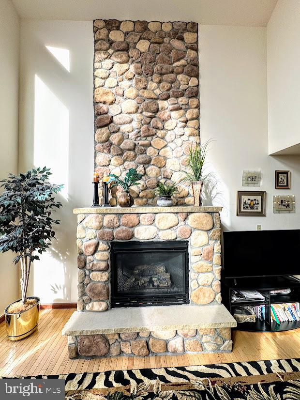 details featuring hardwood / wood-style floors and a stone fireplace