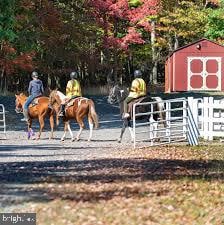 view of horse barn