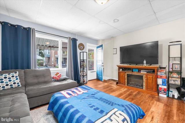 living room featuring hardwood / wood-style flooring, a drop ceiling, and a wealth of natural light