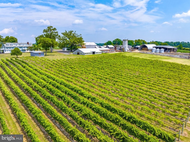 view of yard with a rural view