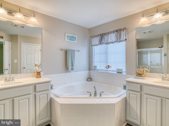 bathroom featuring vanity and plus walk in shower