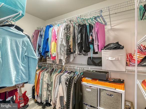 spacious closet featuring hardwood / wood-style floors