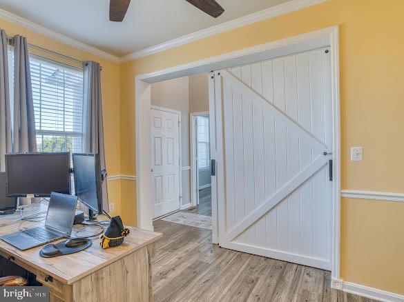 home office featuring ceiling fan, ornamental molding, and light hardwood / wood-style flooring