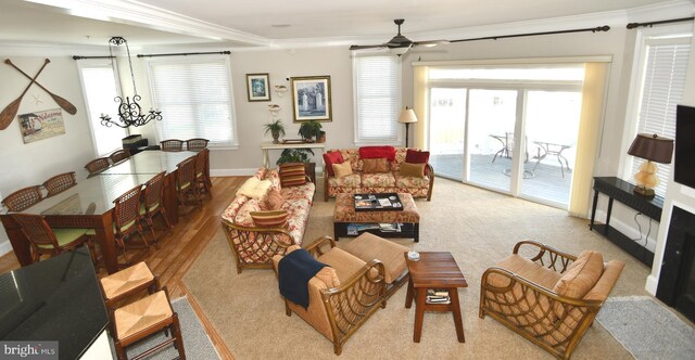 9 134th St Unit 9B, Ocean City, MD 21842 - living area with a ceiling fan, baseboards, ornamental molding, and a wealth of natural light