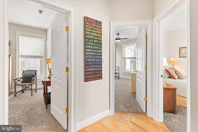 9 134th St Unit 9B, Ocean City, MD 21842 - hallway featuring light carpet, light wood finished floors, visible vents, and baseboards