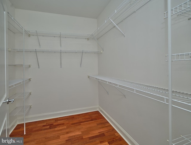 walk in closet with hardwood / wood-style flooring