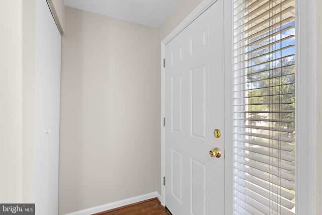 entrance foyer featuring dark hardwood / wood-style flooring