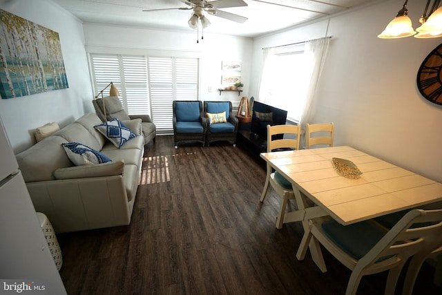 living room with crown molding, ceiling fan, a healthy amount of sunlight, and dark hardwood / wood-style flooring