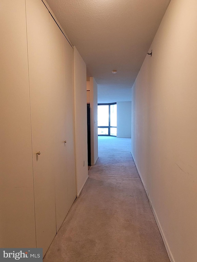 hall with light carpet and a textured ceiling