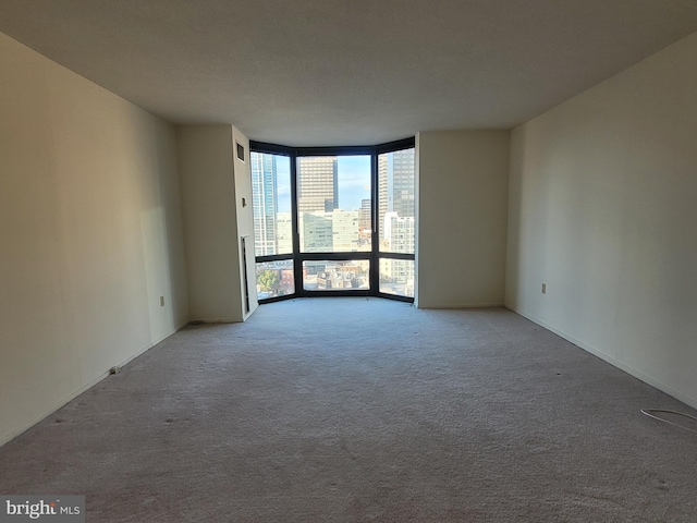 unfurnished room featuring carpet