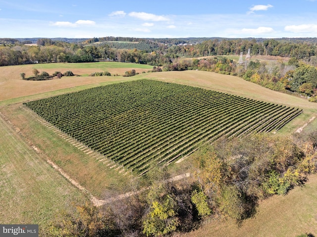 1484 W Strasburg Rd, West Chester, PA 19382 - birds eye view of property with a rural view