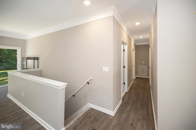 hallway with dark hardwood / wood-style flooring and ornamental molding