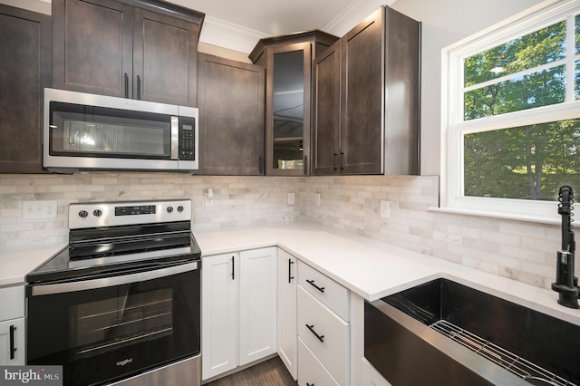 kitchen featuring white cabinetry, appliances with stainless steel finishes, backsplash, dark brown cabinetry, and sink