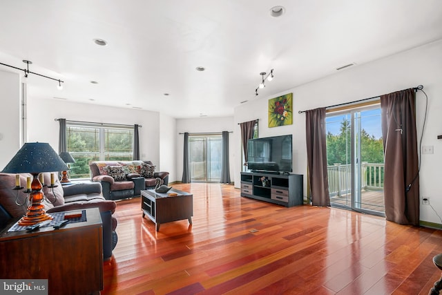 living room with rail lighting, hardwood / wood-style flooring, and a healthy amount of sunlight