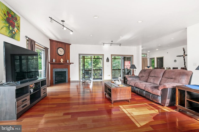 living room featuring hardwood / wood-style flooring and rail lighting