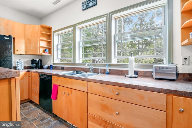 kitchen with black appliances and sink