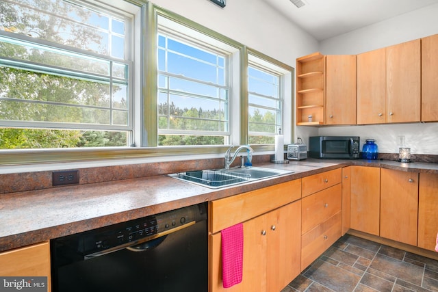 kitchen with sink and dishwasher