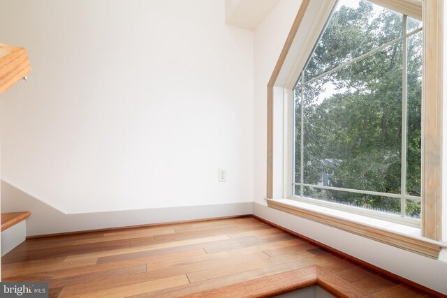 bonus room with a healthy amount of sunlight and wood-type flooring