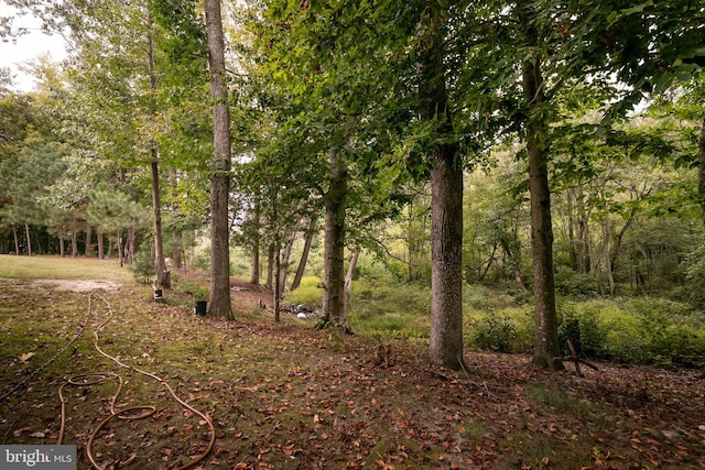 view of nature