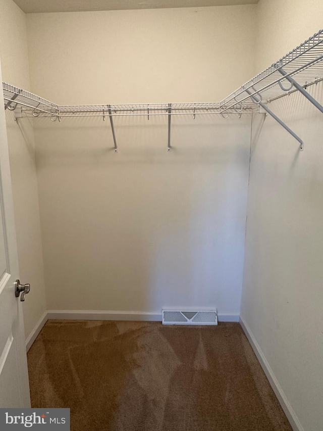 walk in closet featuring carpet