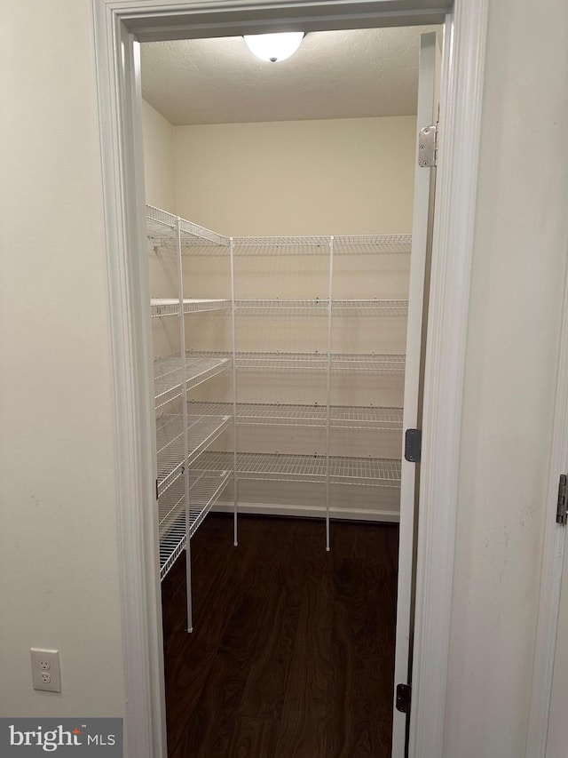 walk in closet with dark hardwood / wood-style flooring