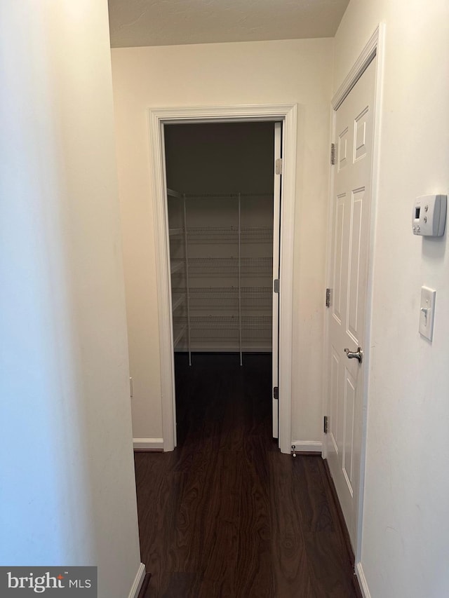 corridor with dark hardwood / wood-style flooring