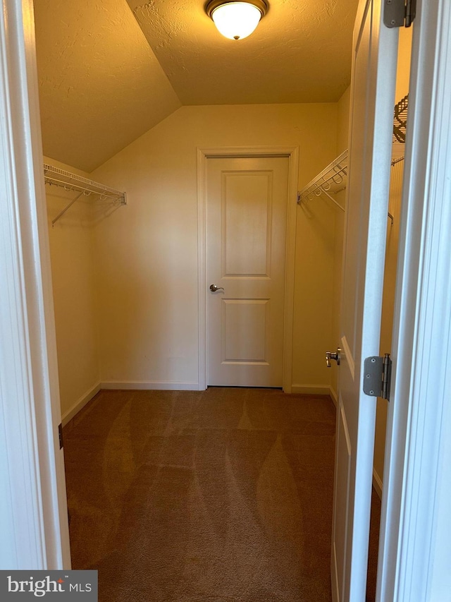 walk in closet featuring carpet and vaulted ceiling