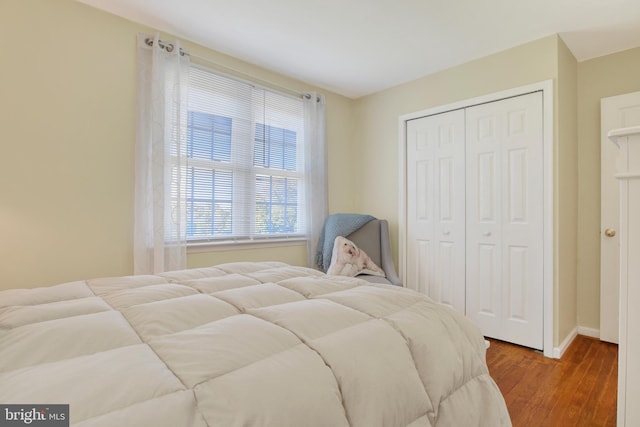 bedroom featuring a closet and light wood-type flooring