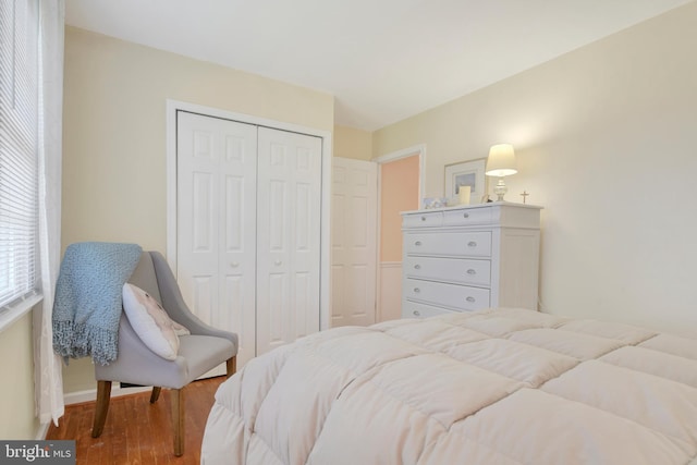 bedroom with hardwood / wood-style flooring and a closet