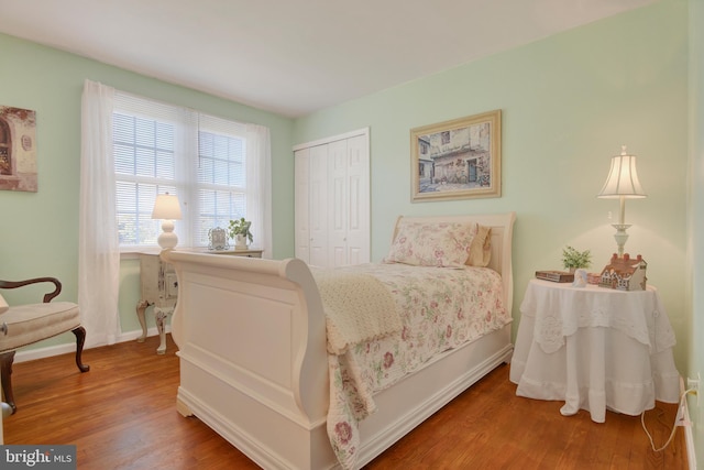 bedroom featuring wood-type flooring and a closet